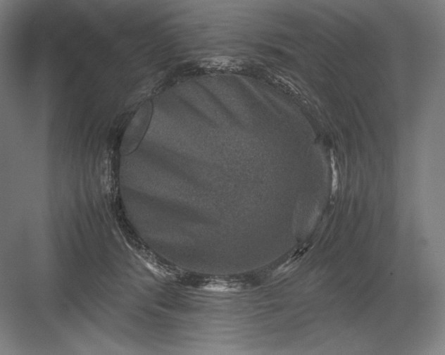 X0000082990416200702160028