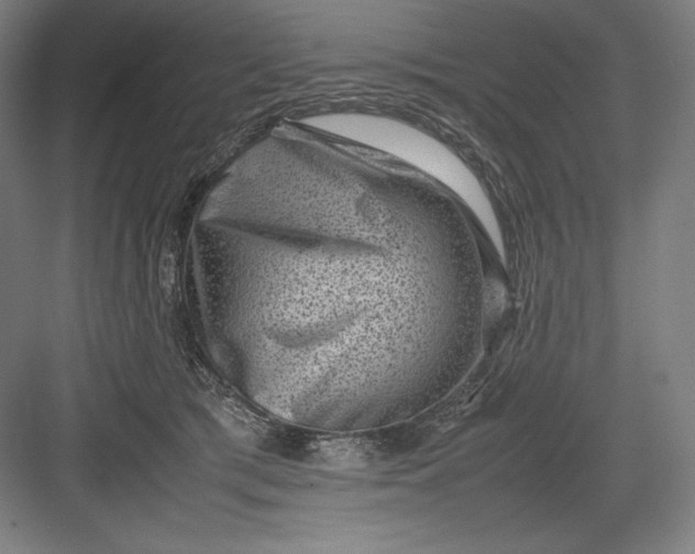 X0000082990417200702160028