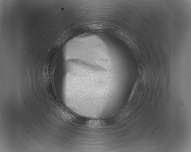 X0000082990418200702160028