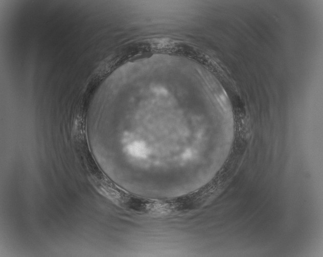 X0000082990419200702160028