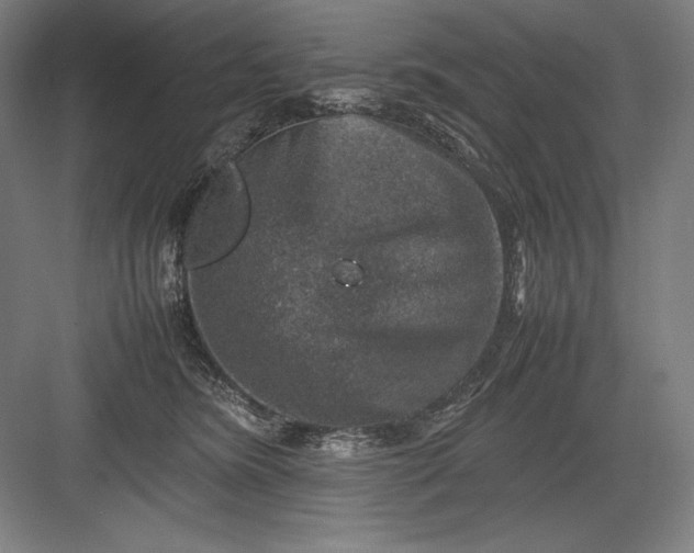 X0000082990420200702160028