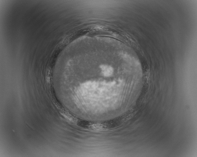 X0000082990423200702160028