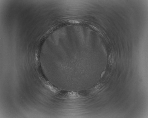 X0000082990424200702160028