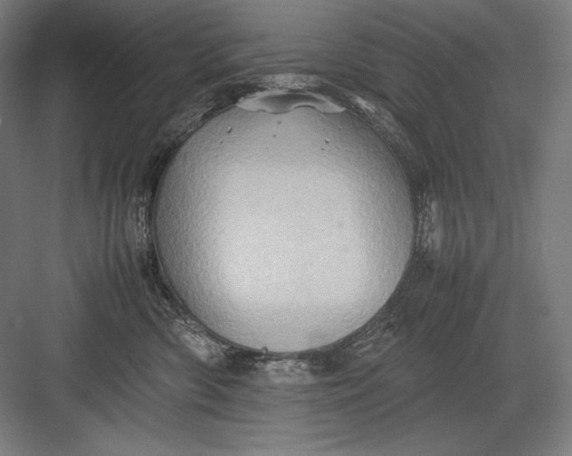 X0000082990426200702160028