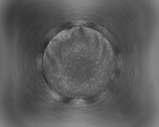 X0000082990427200702160028