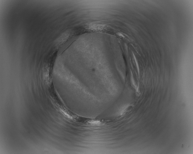 X0000082990428200702160028