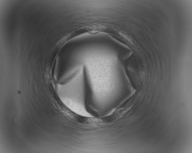 X0000082990429200702160028