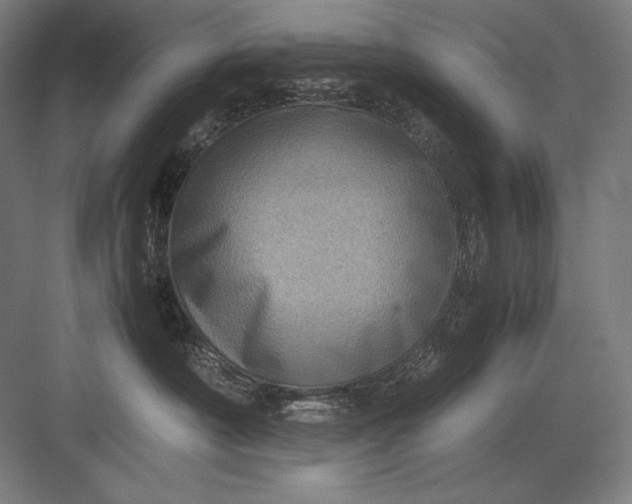 X0000082990430200702160028