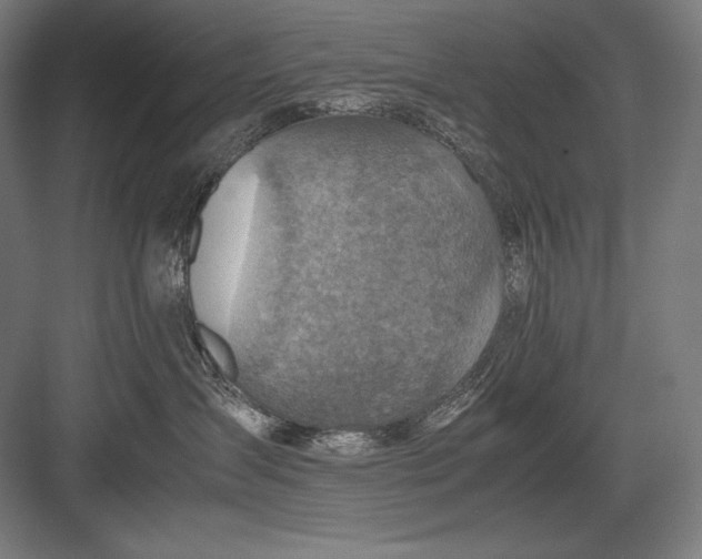 X0000082990431200702160028