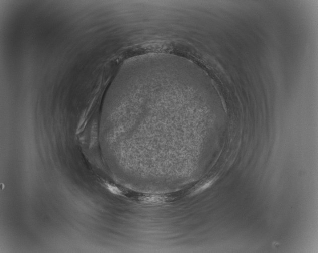 X0000082990432200702160028