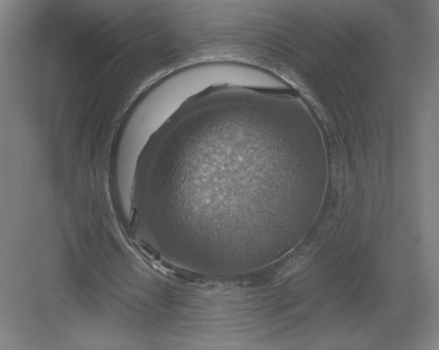 X0000082990434200702160027