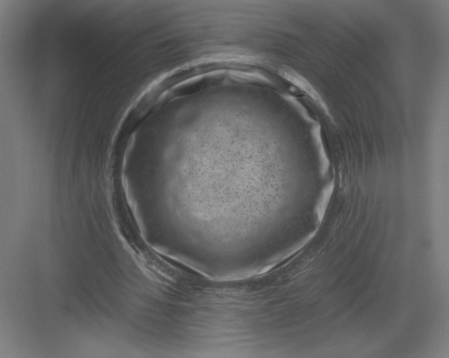 X0000082990436200702160027