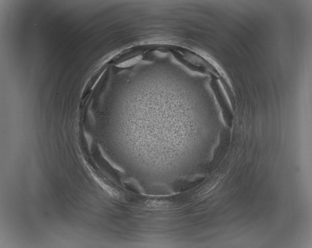 X0000082990437200702160027