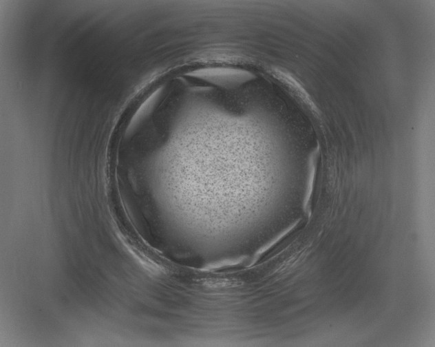 X0000082990439200702160028