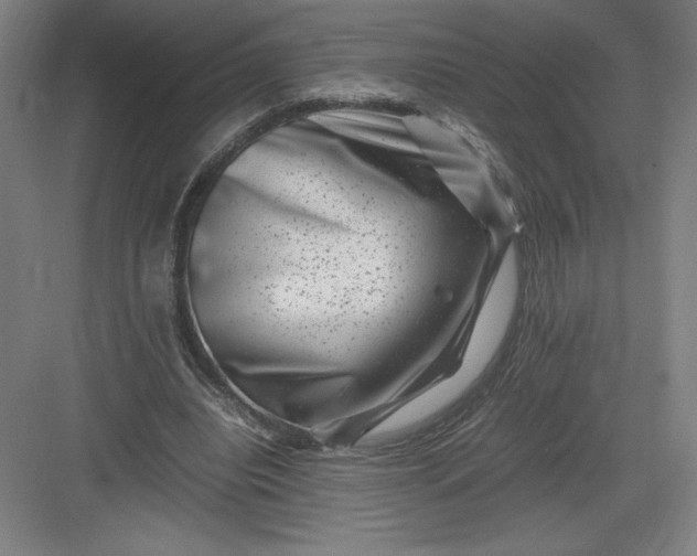 X0000082990440200702160028