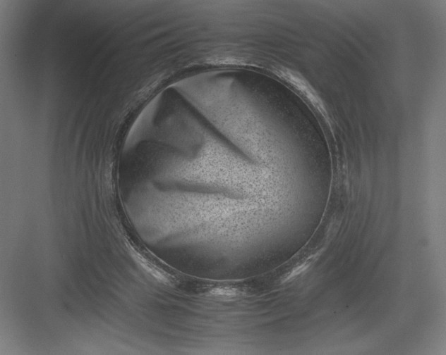 X0000082990441200702160028