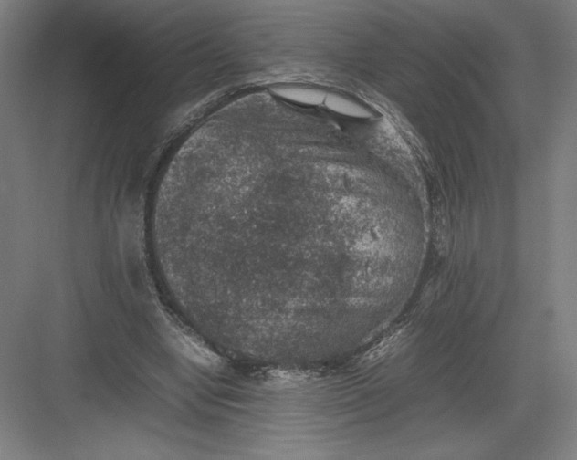 X0000082990442200702160028