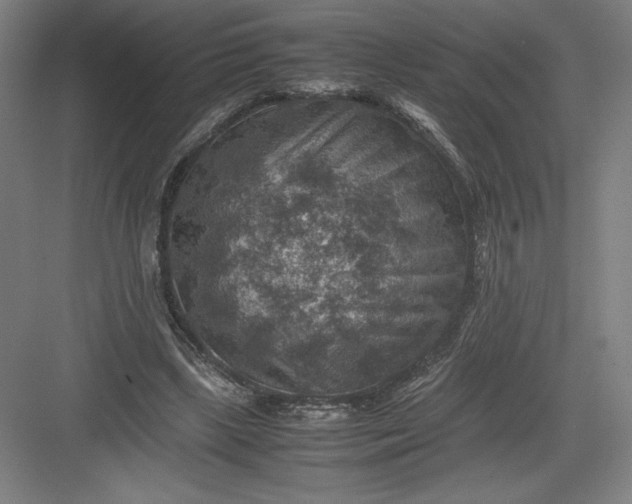 X0000082990443200702160028