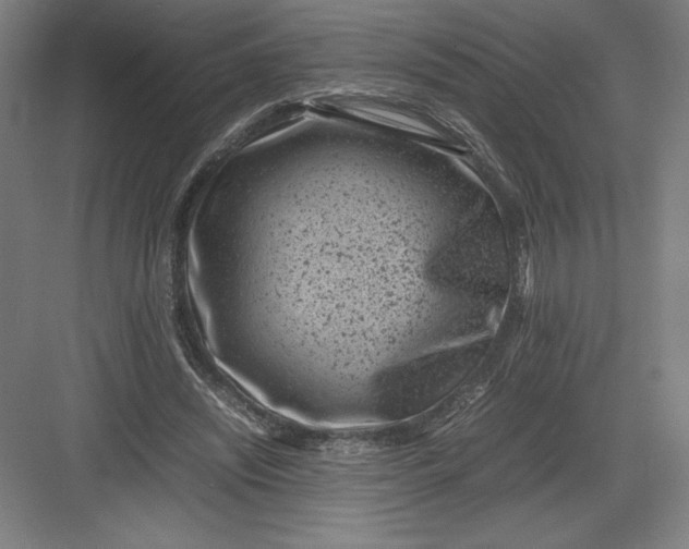 X0000082990444200702160028