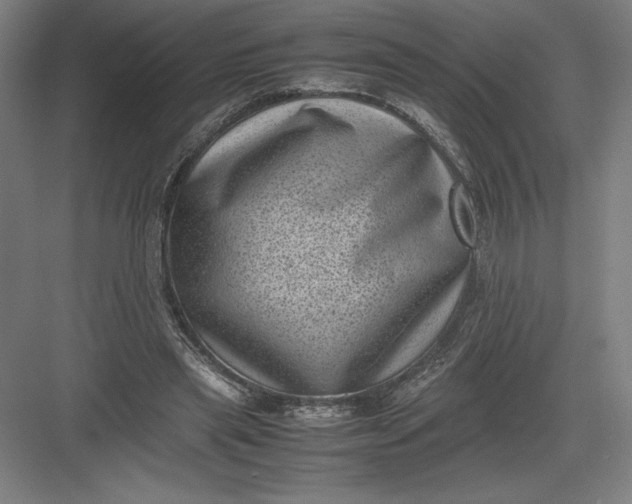 X0000082990445200702160028