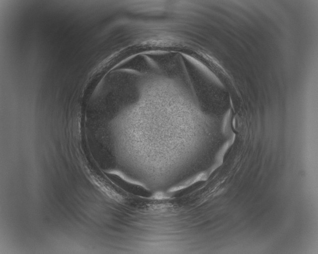 X0000082990446200702160028