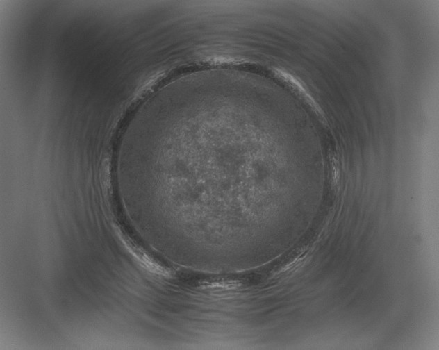 X0000082990447200702160028