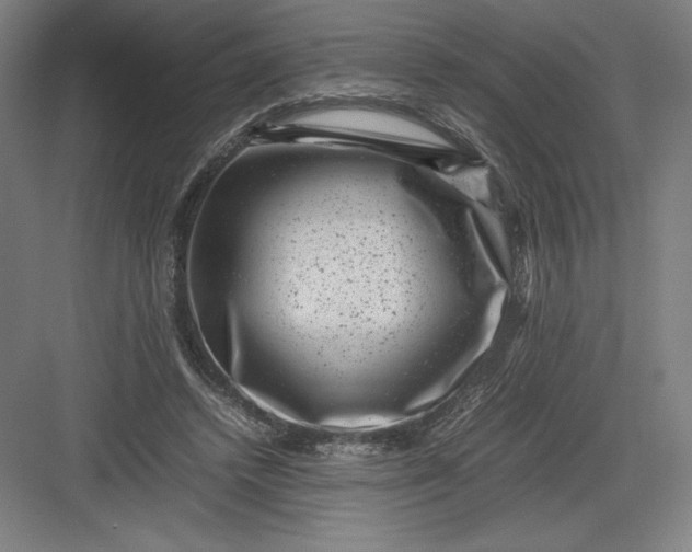 X0000082990448200702160028