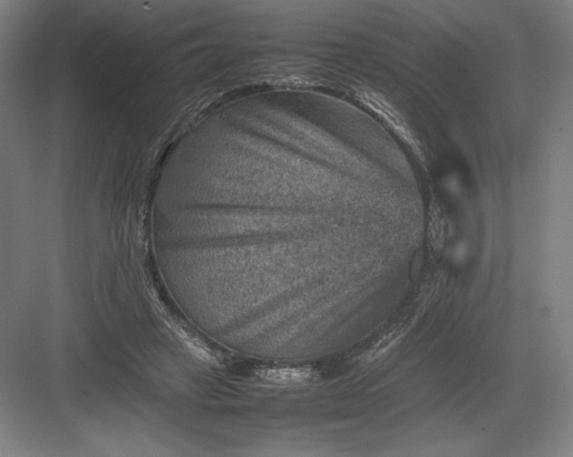 X0000082990449200702160028