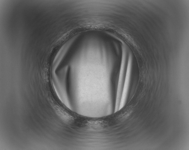 X0000082990450200702160028