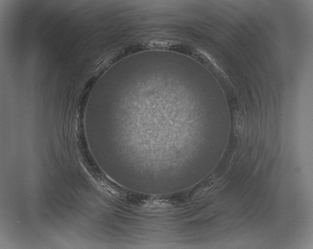 X0000082990451200702160028