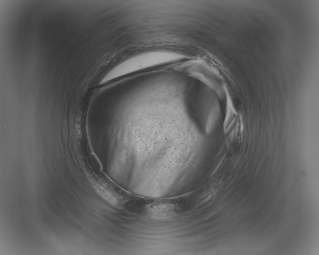 X0000082990452200702160028