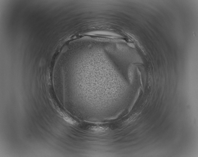 X0000082990453200702160028