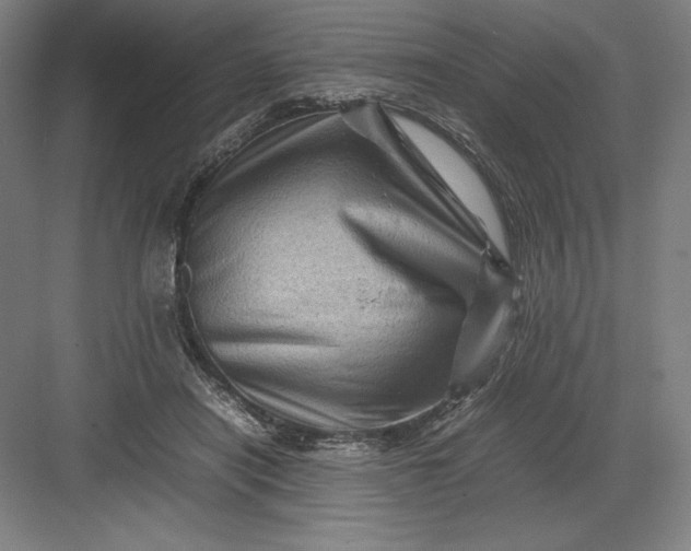 X0000082990454200702160028