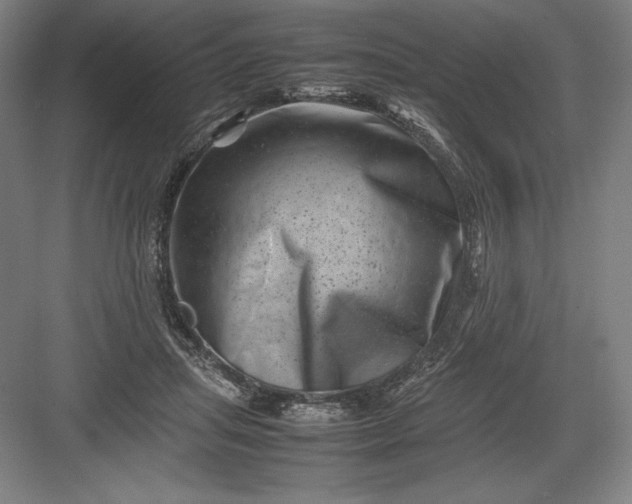 X0000082990455200702160028