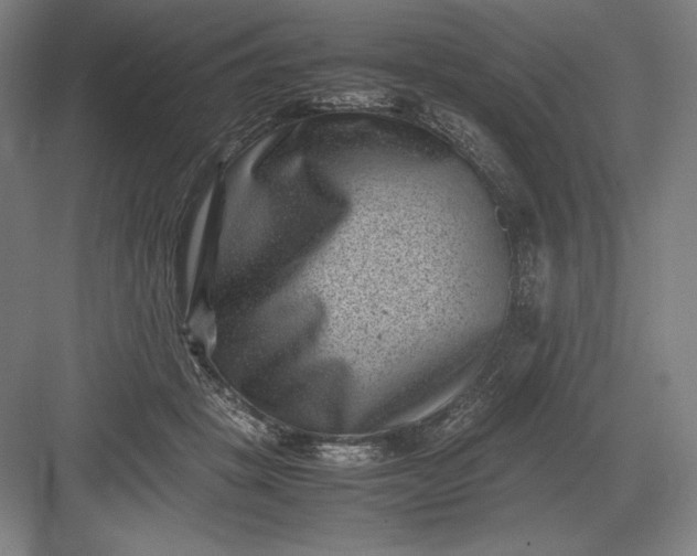 X0000082990457200702160028