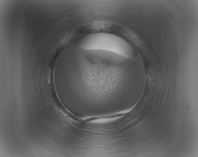 X0000082990458200702160028