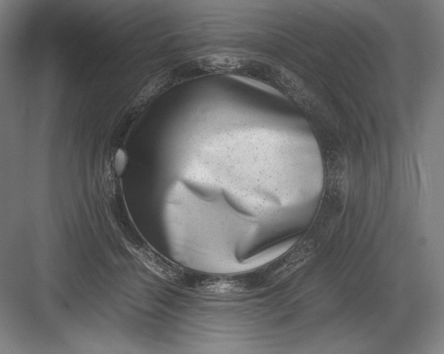 X0000082990460200702160028