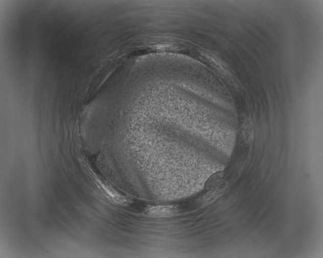 X0000082990461200702160028