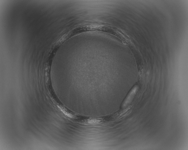 X0000082990462200702160028