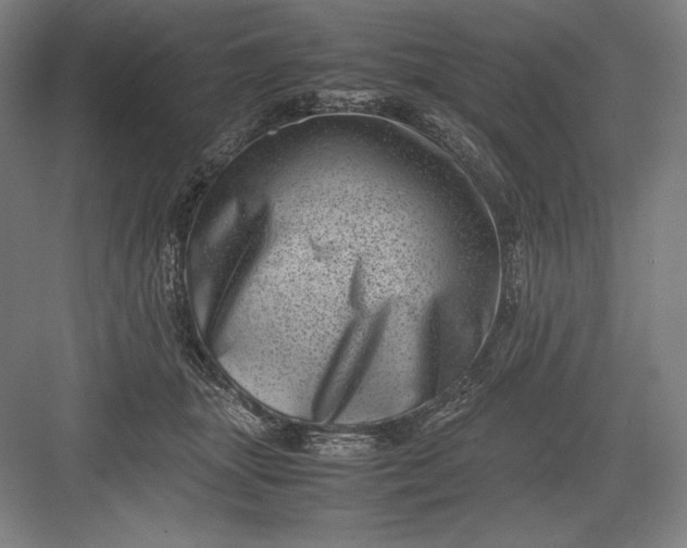 X0000082990463200702160028