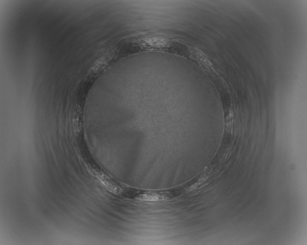 X0000082990464200702160028