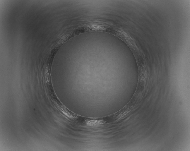 X0000082990465200702160028