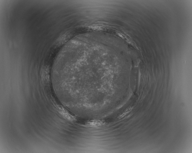 X0000082990466200702160028