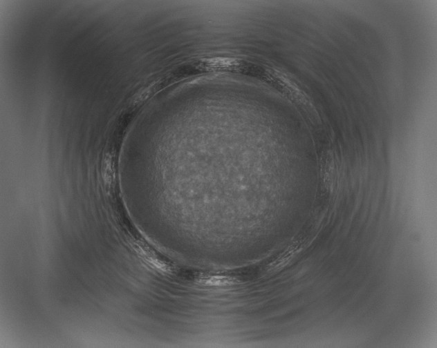 X0000082990467200702160028