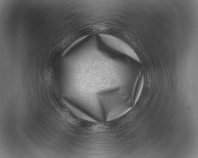 X0000082990468200702160028