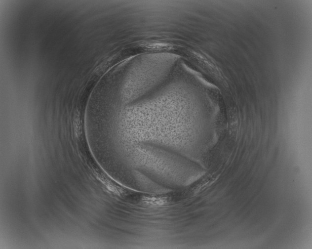 X0000082990469200702160028