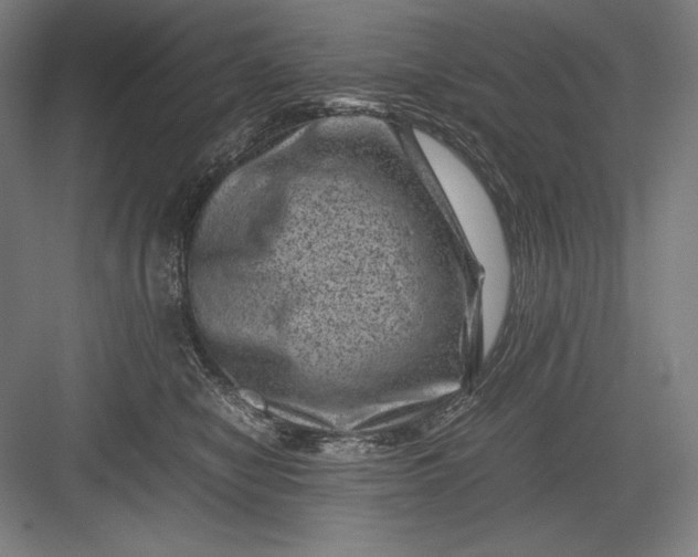 X0000082990470200702160028