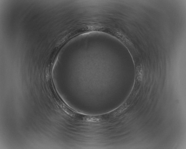 X0000082990471200702160028