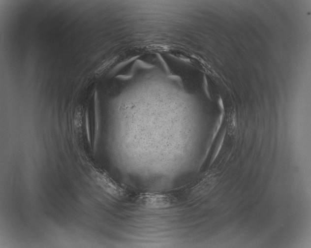 X0000082990472200702160028