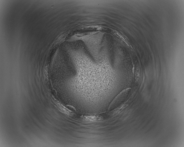 X0000082990473200702160028